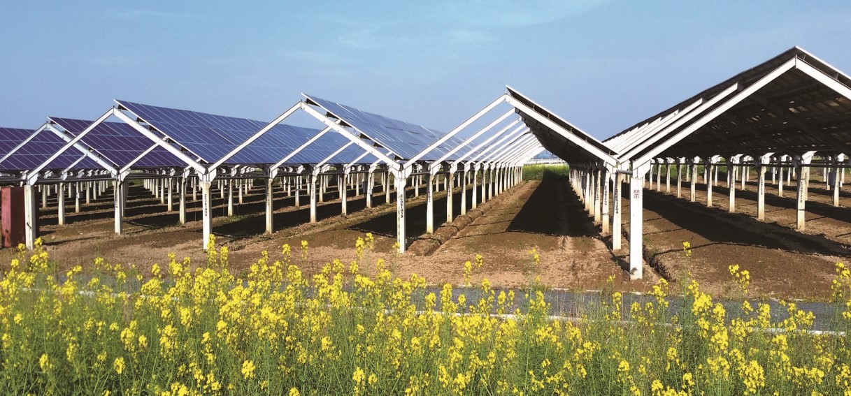 深能淮安刘老庄光伏电站